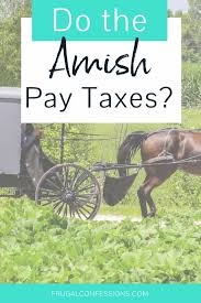 They wear plain clothing, have uncut hair. Do The Amish Pay Taxes Which Taxes Don T They Pay With Video