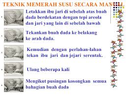 Dias pun memeriksa botol berisi susu itu didalam kulkas, namun ternyata tinggal sedikit. Buku Panduan Psi