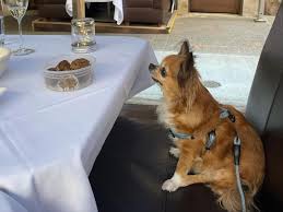 Salary, married, wedding, spouse, family. Bn2yf1nvkl1esm