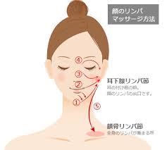 図解 顔のリンパマッサージ方法 リンパ 顔 リンパマッサージ