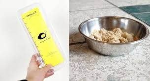 Getting the top position amongst a few good foods for diabetics is oatmeal. 7 Best Cat Food For Diabetic Cats 2021 Cat Mania