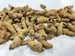 Image result for Morinda angolensis