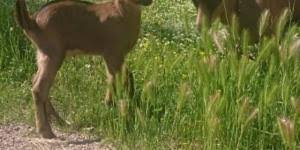 Ca este un lux sa iti iei un avocat. Find A Host Page 10 Wwoof Independents