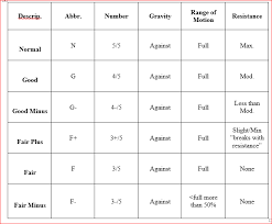 manual muscle testing chart muscle testing training course