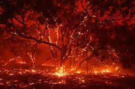 Are the machines simple to work? Australia S Volunteer Firefighters Are Heroes But Are They Enough The New York Times