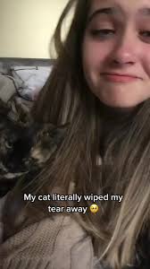 Caught this gem of my cat wiping my tear away, because I was sad 🥺 #fyp  #teacherattachment #favouriteteacher #cat #foryoupage x