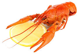Liste Des Fruits De Mer