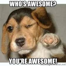 Make your own images with our meme generator or animated gif maker. Who S Awesome Memes