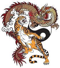 Here is another descending tiger tattoo design where the artist showed an old tiger. Dragon Versus Tiger Tattoo Stock Vector Illustration Of Rival 167229409