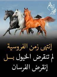 من روائع الفكر arabic quotes cool words arabic poetry