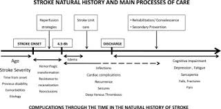 My speech was going well until i was put off my stroke by an interruption. Ischemic Stroke Outcome A Review Of The Influence Of Post Stroke Complications Within The Different Scenarios Of Stroke Care Sciencedirect