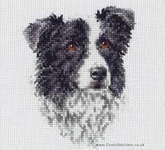 Border Collie Dog Cross Stitch Kit From Anchor Bordercollie Cross Stitch Animals Anchor Cross Stitch Cross Stitch Borders