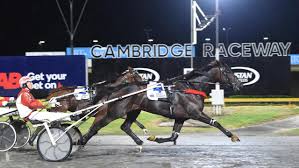 MC Mirella Santos - conteúdo íntimo com Dynho Alves revela tudo