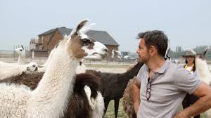 La dinastía derbez no puede parar y ahora ha dado una grata sorpresa para todos sus seguidores. 5bu 1fe8pdwjcm