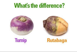 Difference Between Turnip Rutabaga Turnip Recipes