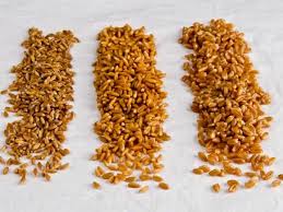 Un Hulled Spelt Hulled Spelt Wheat Farro Products South Africa Un Hulled Spelt Hulled Spelt Wheat Farro Supplier
