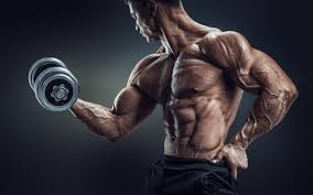 We did not find results for: Body Building Hd Wallpapers Top Free Body Building Hd Backgrounds Wallpaperaccess