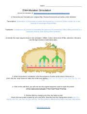 Dna replication and protein synthesis worksheet answer key dna replication and protein synthesis worksheet answer key and msu and skol tech dna repair it is dna. Dna Mutation Simulation Worksheet Docx Name Dna Mutation Simulation Access The Simulation At Https Www Biologycorner Com Worksheets Dna Sim Html 1 Course Hero