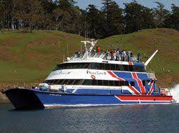 Seattle To San Juan Island Ferry Schedule Fares Clipper Vacations San Juan Islands San Juan Island Whale Watching Tours