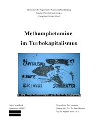 Fahnder lassen geplantes drogenlabor im kreis karlsruhe. Facharbeit