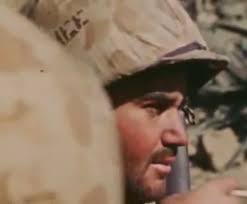 Fifth Marine Division