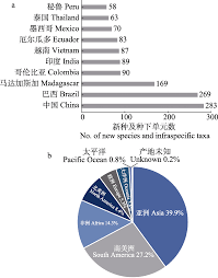 Image result for Cyphostemma glandulosissimum