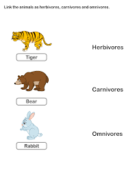 Food Chain Worksheets For Kids Online Video Game Carnivores Herbivores Omnivores Food Chain Worksheet Worksheets For Kids