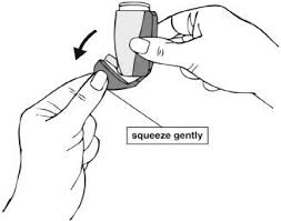 Image result for Intranasal Ciclesonide