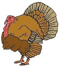 Count the Turkeys Contest had 270 entries