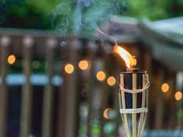 In great condition $10 for the blue one. 7 Backyard Tiki Bar Ideas This Old House
