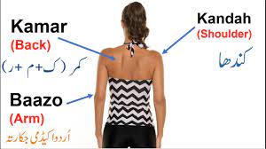 Check spelling or type a new query. Lesson 2 Parts Of Body In Urdu Vocabulary Basic Urdu Lesson Youtube
