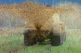 images?q=tbn%3AANd9GcSWm7OOZ51tgaxriGztk_RWnDjy7wcDqxKOQQ&usqp=CAU