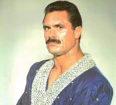 What characteristics define a Yacht Rock Snob?