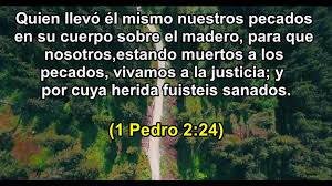Entre los versículos de la santa biblia que permiten la sanidad de los enfermos, se pueden mencionar los siguientes:. Imagenes Con Versiculos De La Biblia Sobre La Curacion Video Dailymotion