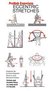 The Art Of Stretching Prehab Exercises Eccentric Exercise Exercise Stability Exercises