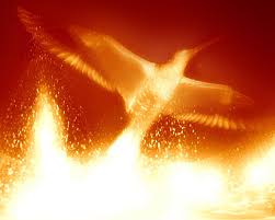 In penobscot folklore, the pomola was a bird spirit that lived on mt katahdin. Mythological Creatures Phoenix Vs Thunderbird Enclave Publishing