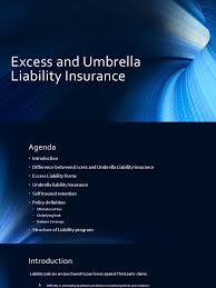 Before insurance coverage begins to apply. Excess And Umbrella Liability Insurance Liability Insurance Deductible