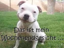 Wochenende Zitate Sprüche Poolvogel