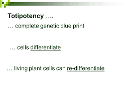 Plant cell has potential to develop into. Part 2 Understanding Plant Growth In Vitro Richard R Williams Ppt Download