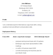 curriculum vitae chronological cv