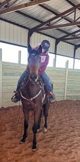 👏🐴Who's Who at Nexus Equine🐴👏 Rita Hoch is Founder, President and CEO  of Nexus Equine. Horses have always been the love of her life. She got her  first horse when she was