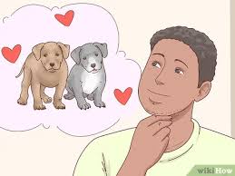 Signs or symptoms that your dog is going into heat. How To Breed Pit Bulls With Pictures Wikihow