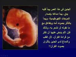 مراحل نمو الانسان Flv Youtube