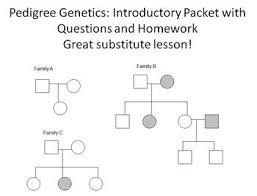 Pedigree Genetics Introduction Questions And Homework For High School Biology High School Biology Genetics This Or That Questions