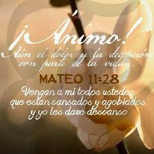 Porque el que en vosotros. Frases Cristianas Momentos Dificiles 2020 Imagenes Bonitas