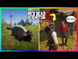 Those looking to get their hands on . What Happens If You Bring A Skunk Back To Camp In Red Dead Redemption 2 Hidden Outcomes Youtube