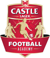 Bafana are set to take on zimbabwe and ghana in their first two matches in group g early next month. Castle Bafana Logo 2014 1 Forwardzone