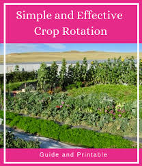 Simple And Effective Crop Rotation Rolling Hills Farm