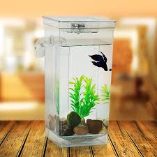Betta fish tanks are designed to provide optimal comfort to a fish of their size and make sure your vibrantly colored pet thrives in its new environment. Tropical Betta Fish Mini Nano Arcylic Tank Aquarium Small Fish Tank Easy Water Change Small Fish Tank Fish Tanktank Aquarium Aliexpress