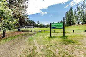 It is located near the famous sfu. 733 Guiltner Street Coquitlam West Coquitlam R2503214